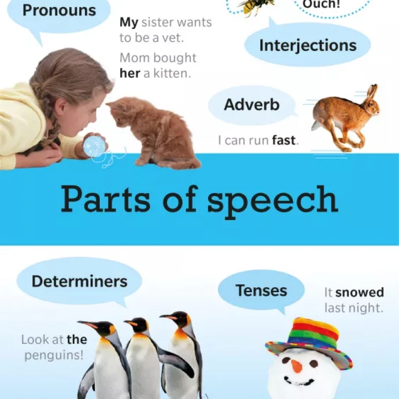 Visual Guide to Grammar and Punctuation ( sách màu )