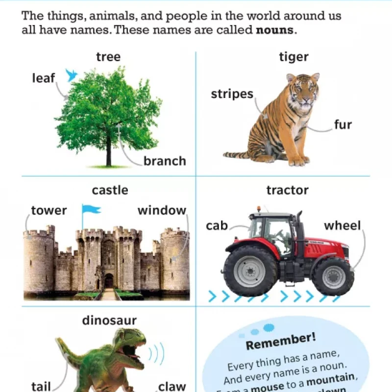 Visual Guide to Grammar and Punctuation ( sách màu )