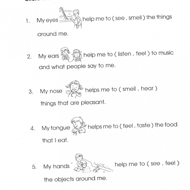 Vocabulary for Kindergarten (Sách đen trắng)