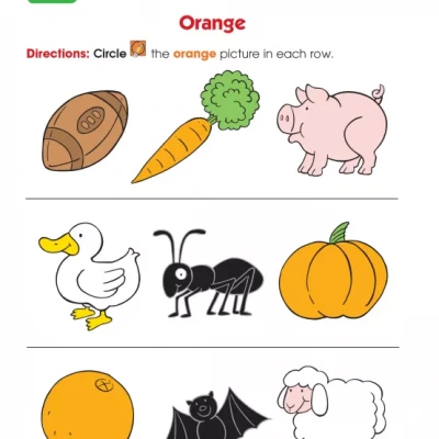 Your Total Solution for - Math, Grade K ( sách màu )